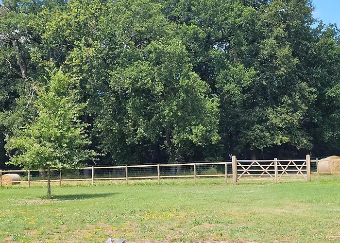 Du Pin De Διαμέρισμα Pardaillan